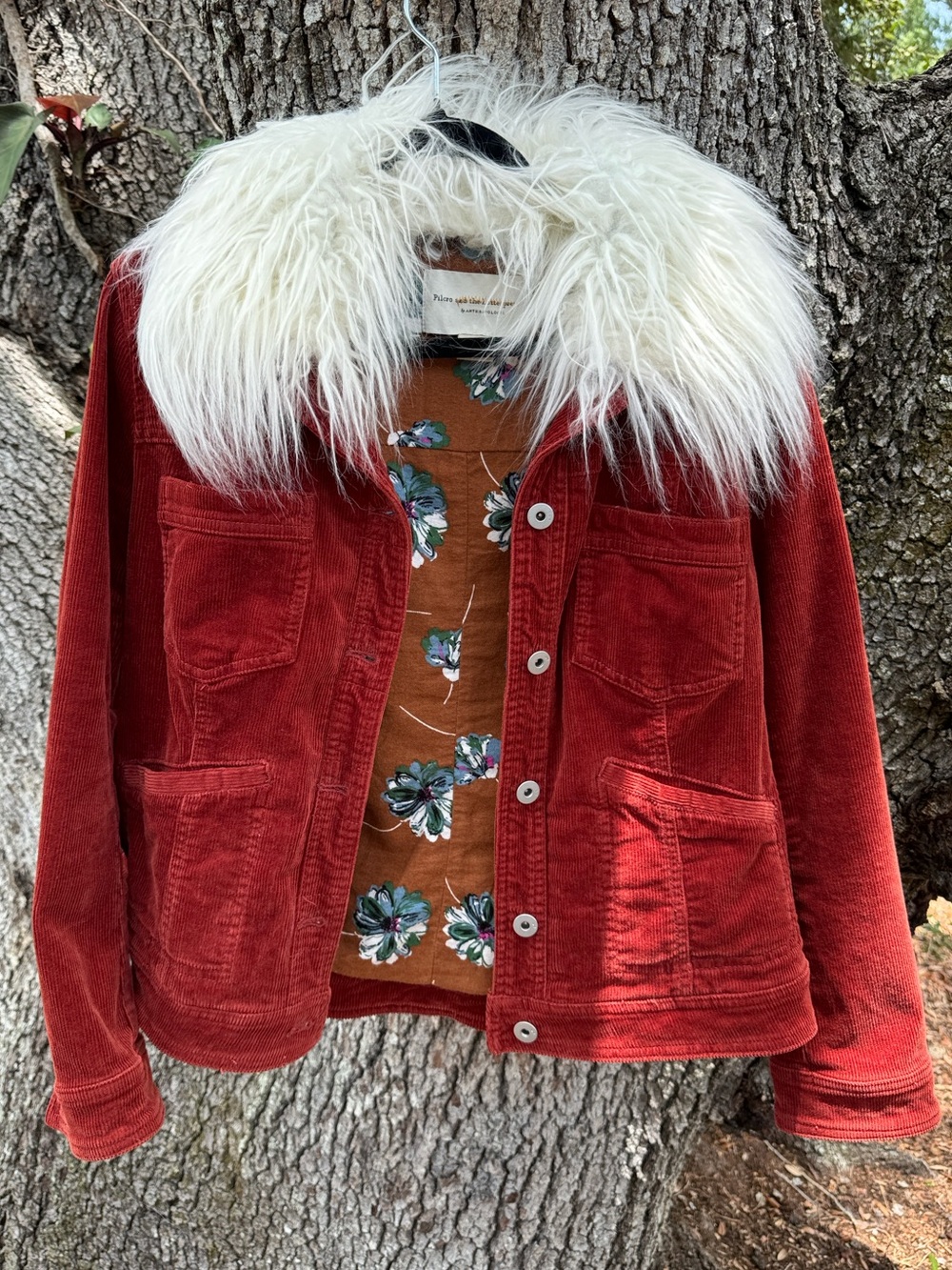 Anthropologie Rust Red Corduroy Jacket with White Faux Fur Collar.Size MP